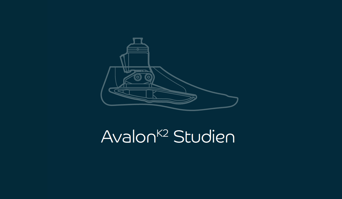 Neu veröffentlichtes Whitepaper: AvalonK2 Studien